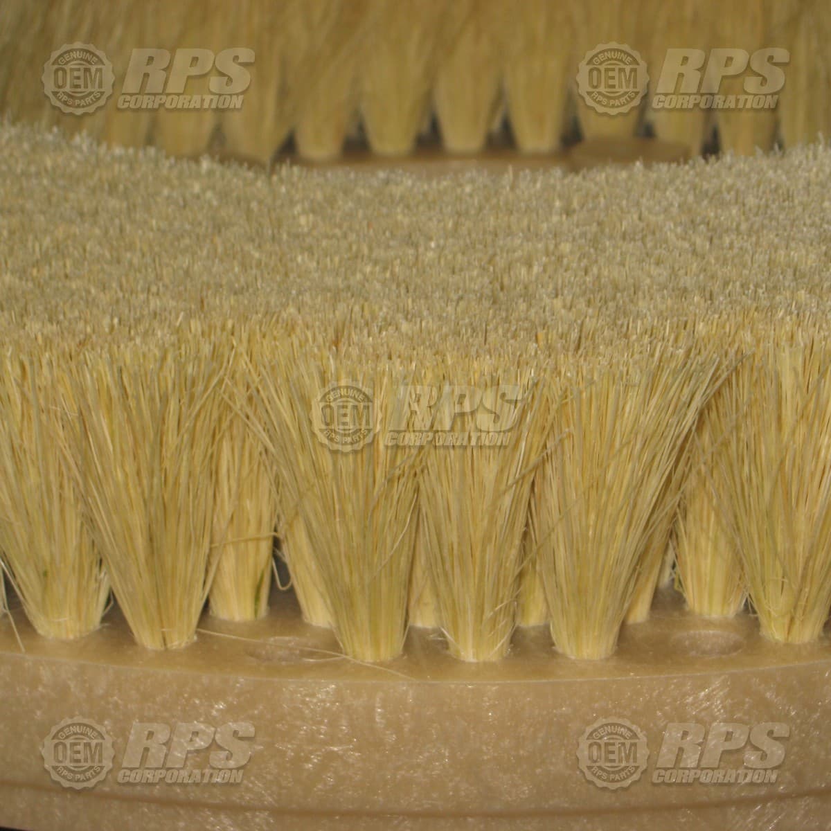13-421T - Brush,Tampico,13"